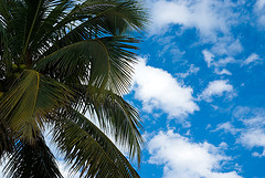 332388549_68fd6b3685_m1