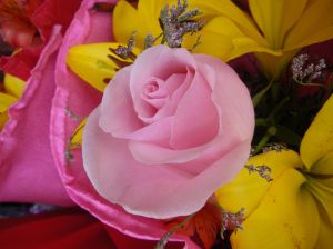rose Street vendor, Bueons Aires. Wally Metts.