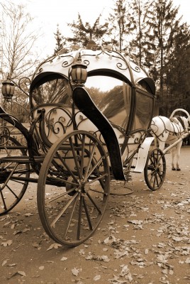 horse and carriage