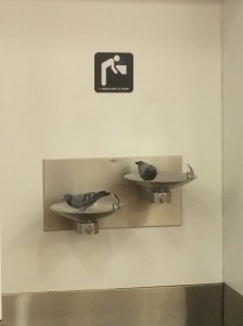 International airport, New Dehli.